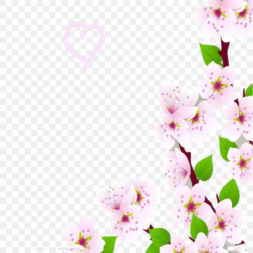 Cherry Blossom Cerasus, PNG, 2362x2362px, Cherry, Blossom, Branch, Cerasus, Cherry Blossom Download Free