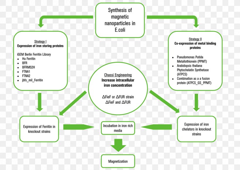 Document Line Technology Angle, PNG, 1000x707px, Document, Area, Brand, Communication, Diagram Download Free