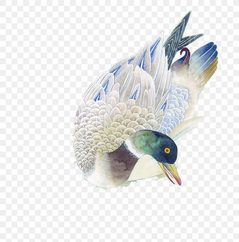 Duck Chinese Painting Ink Wash Painting, PNG, 779x830px, Duck, Art, Beak, Bird, Birdandflower Painting Download Free
