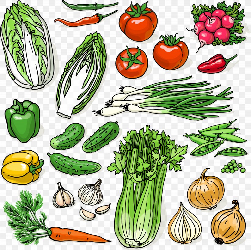 Organic Food Cucurbita Illustration, PNG, 7706x7666px, Organic Food, Commodity, Cucurbita, Diet Food, Drawing Download Free