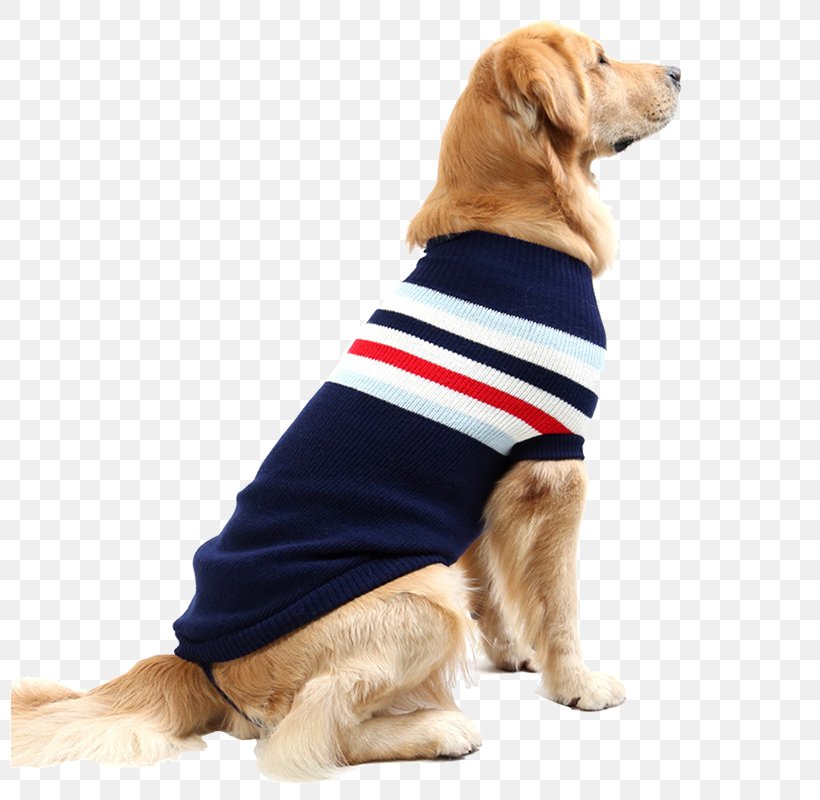 Chihuahua Golden Retriever T-shirt Sweater Pet, PNG, 800x800px, Chihuahua, Cat, Clothing, Coat, Collar Download Free