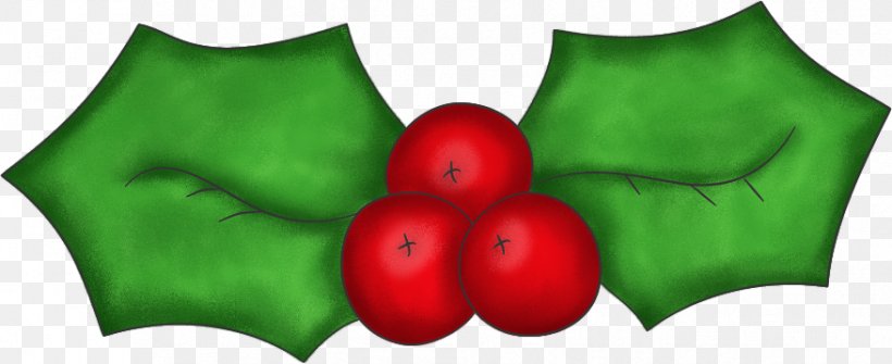 Common Holly Christmas Clip Art, PNG, 877x359px, Common Holly, Christmas, Christmas Ornament, Creativity, Free Content Download Free