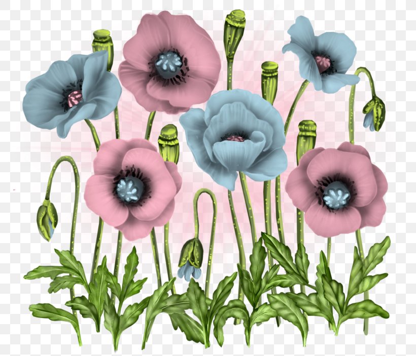 Flower Poppy Clip Art, PNG, 787x703px, 3d Computer Graphics, Flower, Anemone, Annual Plant, Cut Flowers Download Free