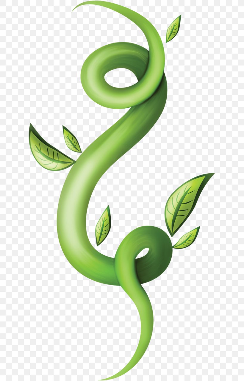 Green Plant Stem Leaf Clip Art, PNG, 628x1280px, Green, Flora, Flower, Leaf, Mamba Download Free