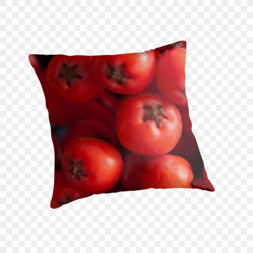 Tomato Cushion, PNG, 875x875px, Tomato, Cushion, Food, Fruit, Potato And Tomato Genus Download Free