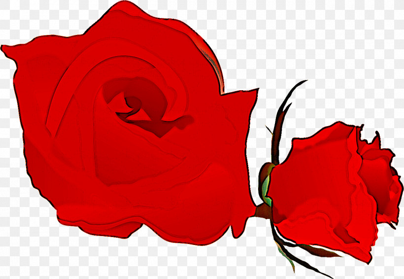 Two Flowers Two Roses Valentines Day, PNG, 1271x878px, Two Flowers, Carmine, Flower, Garden Roses, Herbaceous Plant Download Free
