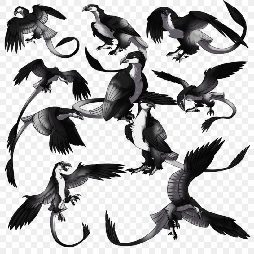 Beak Bird Visual Arts, PNG, 894x894px, Beak, Art, Bird, Bird Of Prey, Black And White Download Free