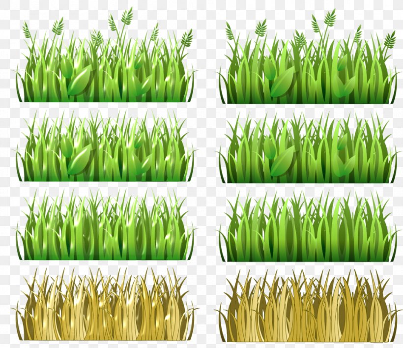 Clip Art Vetiver Image Pasto, Colombia, PNG, 962x831px, Vetiver, Cereal, Chrysopogon, Chrysopogon Zizanioides, Commodity Download Free
