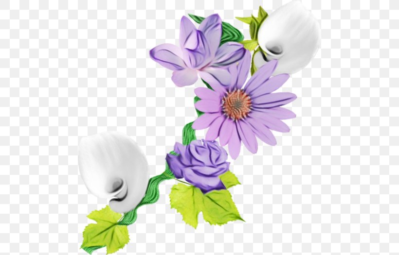 Floral Design Cut Flowers Plant Stem Herbaceous Plant, PNG, 500x525px, Floral Design, Anemone, Botany, Cut Flowers, Flower Download Free