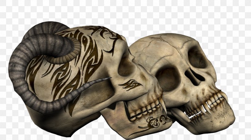 Skull Skeleton Gothic Art Photography, PNG, 1165x652px, Skull, Albom, Album, Bone, Cemetery Download Free