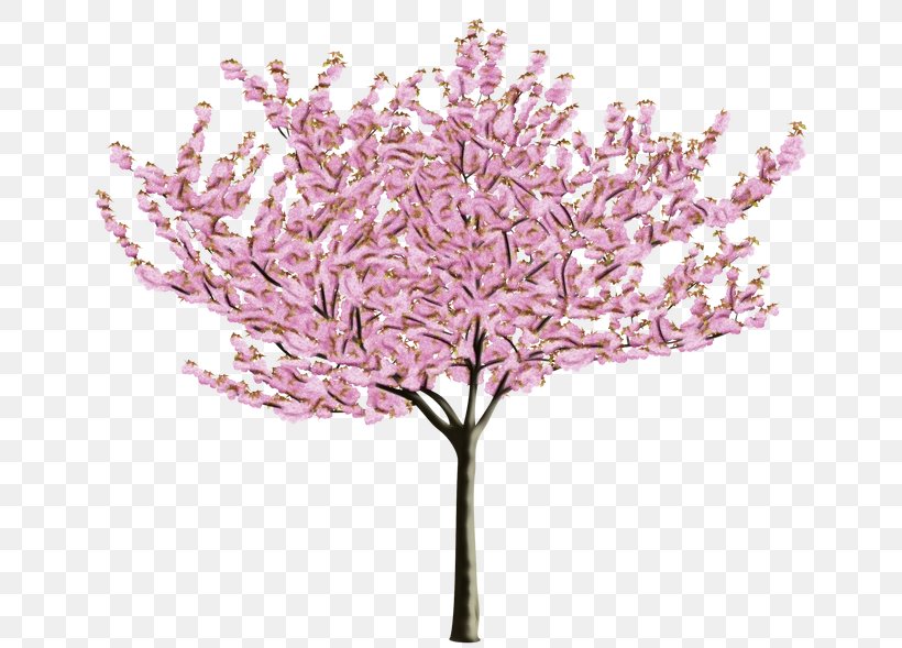 Cherry Blossom Tree Drawing, PNG, 656x589px, Blossom, Artificial Flower, Branch, Cerasus, Cherries Download Free