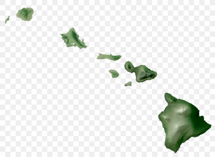 Kalawao County, Hawaii Maui Kauai, PNG, 892x653px, Hawaii, Amphibian, Green, Island, Kalawao County Hawaii Download Free