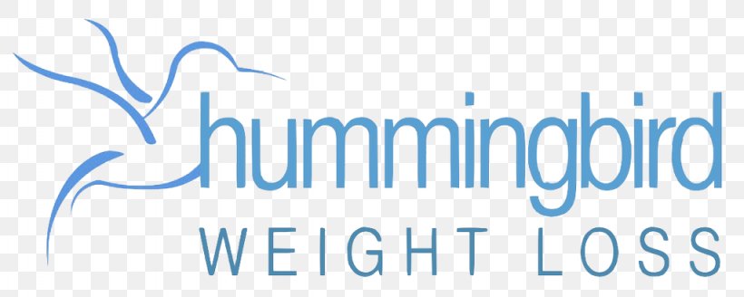 Logo Brand Hummingbird, PNG, 1024x410px, Logo, Area, Blue, Brand, Hummingbird Download Free