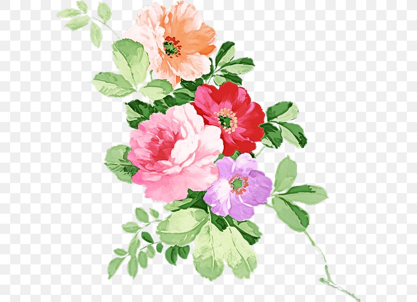 Rose, PNG, 600x594px, Flower, Branch, Petal, Pink, Plant Download Free