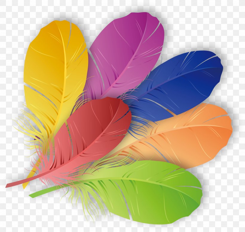 The Floating Feather Color, PNG, 3014x2853px, Floating Feather, Color, Designer, Feather, Flower Download Free