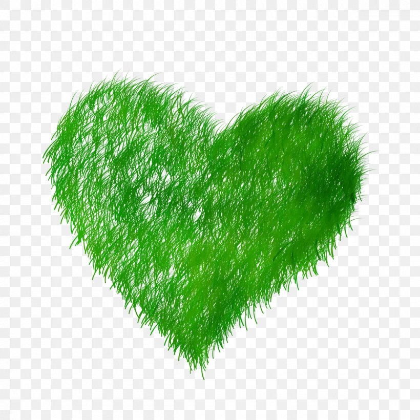 Green Grass Background, PNG, 1200x1200px, Blog, Grass, Green, Heart, Leaf Download Free