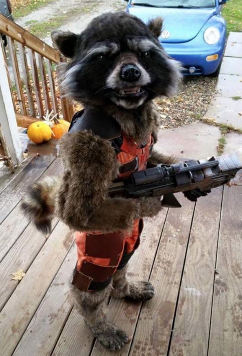 Rocket Raccoon Groot Silver Surfer Costume, PNG, 948x1394px, Rocket Raccoon, Buycostumescom, Child, Clothing, Cosplay Download Free