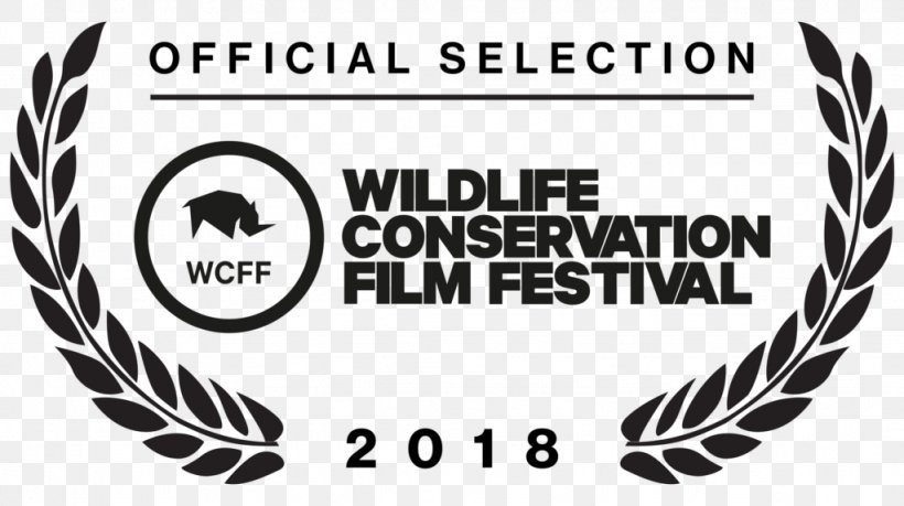Wildlife Conservation Film Festival New York City, PNG, 1024x574px, New York City, Actor, Award, Black, Black And White Download Free