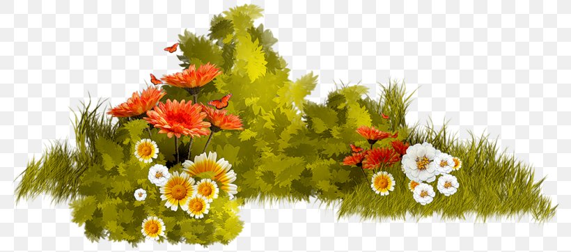 Clip Art, PNG, 800x362px, Floral Design, Artificial Flower, Collage, Cut Flowers, Digital Image Download Free