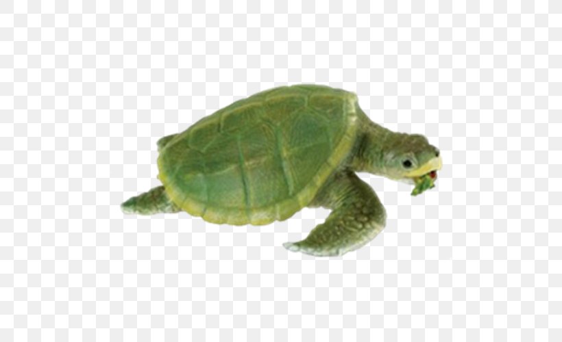 Kemp's Ridley Sea Turtle Safari Ltd Reptile, PNG, 500x500px, Turtle, Animal, Animal Figurine, Box Turtle, Chelydridae Download Free