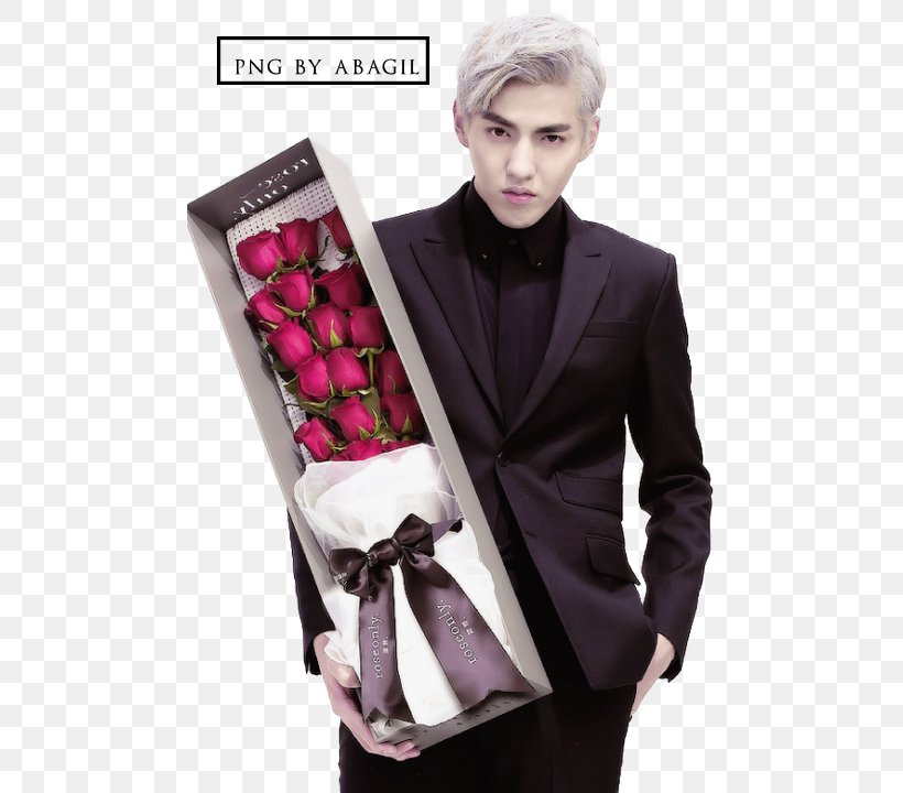 Kris Wu The Rap Of China EXO-M Actor, PNG, 480x720px, Kris Wu, Actor, Exo, Exom, Formal Wear Download Free