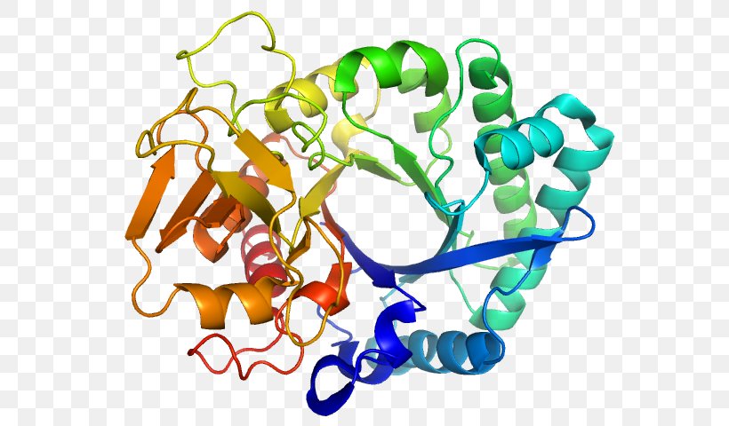 Protein Folding Beta Sheet Alpha Helix, PNG, 640x480px, Protein Folding, Alpha Helix, Amino Acid, Beta Sheet, Biochemistry Download Free