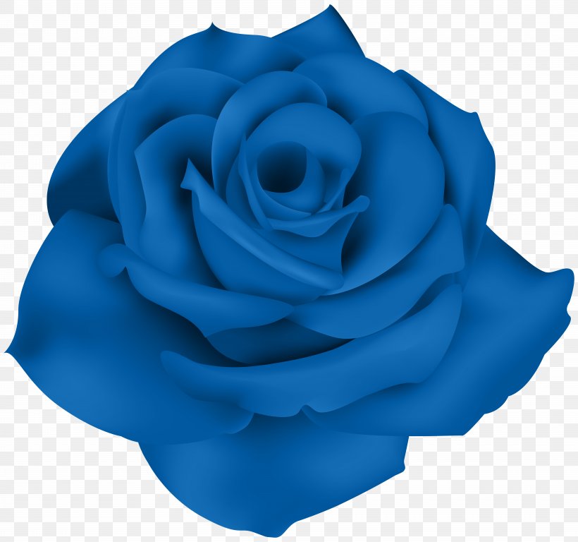 Blue Rose Flower Garden Roses, PNG, 8000x7498px, Rose, Azure, Blue, Blue Flower, Blue Rose Download Free