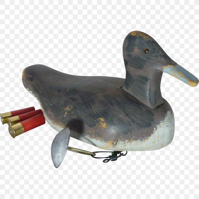 Duck Water Bird Anatidae Goose, PNG, 1679x1679px, Duck, Anatidae, Beak, Bird, Cygnini Download Free
