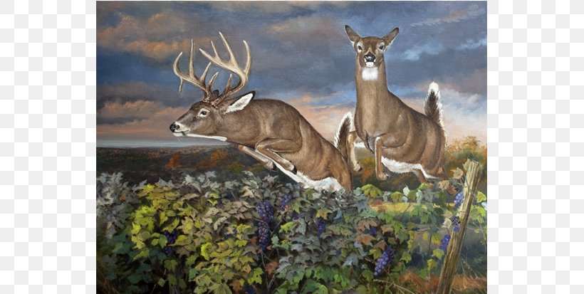 Elk White-tailed Deer Red Deer Reindeer, PNG, 666x413px, Elk, Animal, Antler, Art, Art Museum Download Free