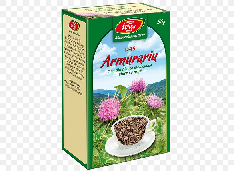 Tea Fares Field Horsetail Food Medicinal Plants, PNG, 600x600px, Tea, Digestif, Fares, Field Horsetail, Flower Download Free