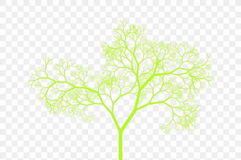 Twig Plant Stem Leaf Font, PNG, 3000x2000px, Twig, Branch, Grass, Leaf, Plant Download Free