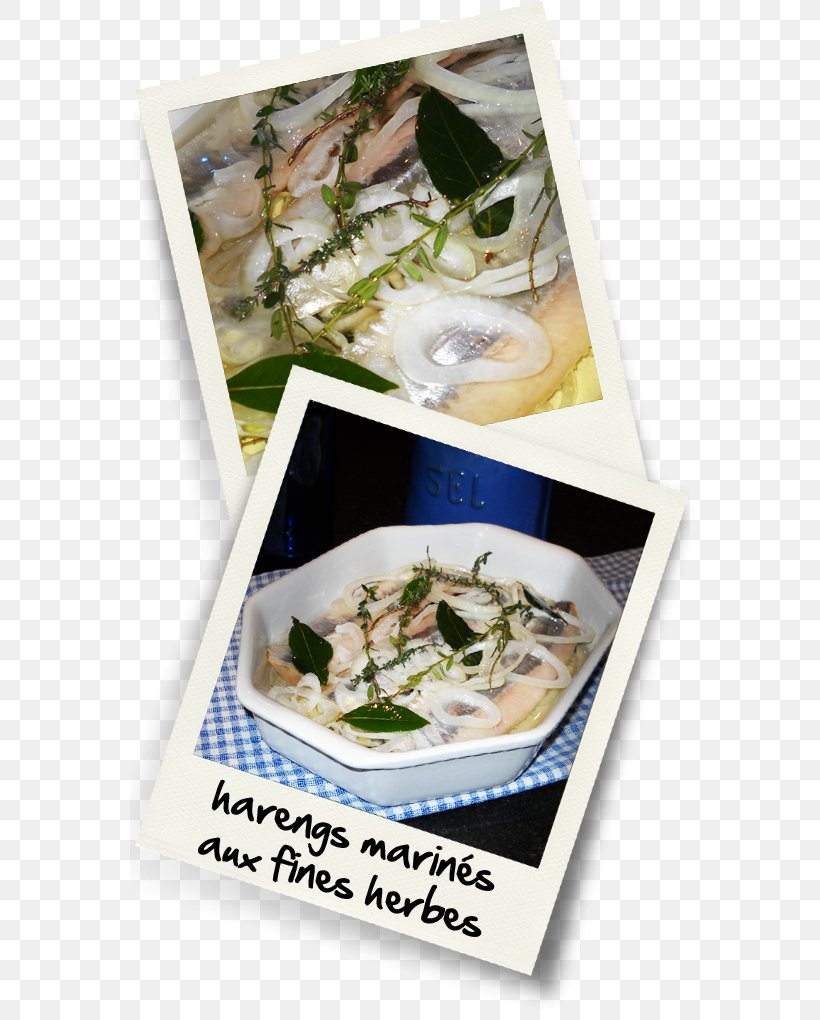 Dish Pickled Herring Recipe Cuisine Cooking, PNG, 560x1020px, Dish, Artichoke, Atlantic Herring, Bay Laurel, Cooking Download Free
