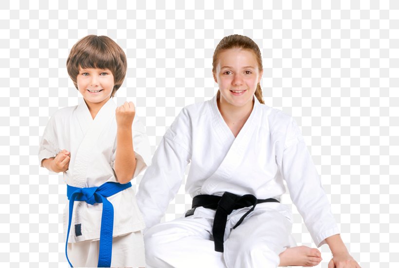 The Karate Kid Martial Arts Self-defense Karate Gi, PNG, 685x552px, Watercolor, Cartoon, Flower, Frame, Heart Download Free