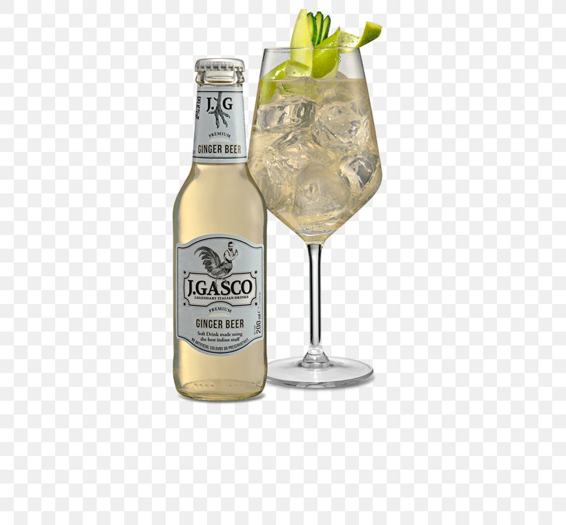 Gin And Tonic Tonic Water Vodka Tonic Fizzy Drinks Liqueur, PNG, 461x760px, Gin And Tonic, Alcoholic Beverage, Bitters, Champagne, Champagne Glass Download Free