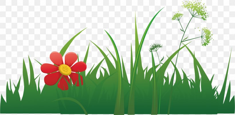 Grass Euclidean Vector Herbaceous Plant Element, PNG, 2030x998px, Grass, Chemical Element, Element, Flora, Floral Design Download Free