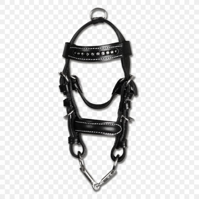 Horse Bridle Leather Key Chains, PNG, 1000x1000px, Horse, Bit, Bridle, Chain, Equestrian Download Free