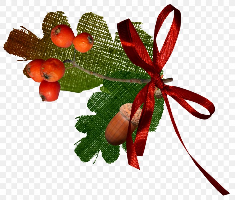 Photography Leaf Drawing Blog Photo Albums, PNG, 1600x1363px, Photography, Acorn, Berries, Blog, Drawing Download Free