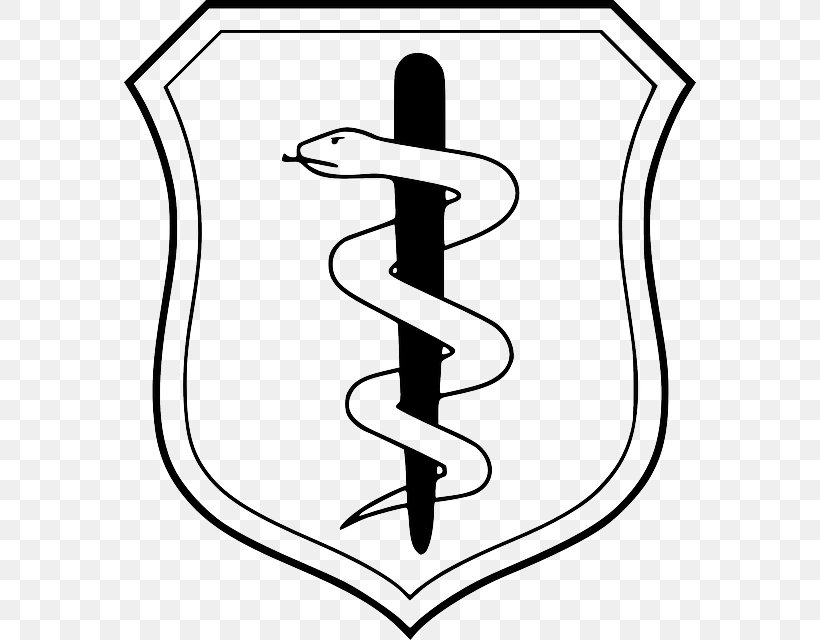 Badges Of The United States Air Force United States Air Force Medical Service Navy Medical Service Corps, PNG, 572x640px, United States Air Force, Air Force, Area, Army Officer, Artwork Download Free