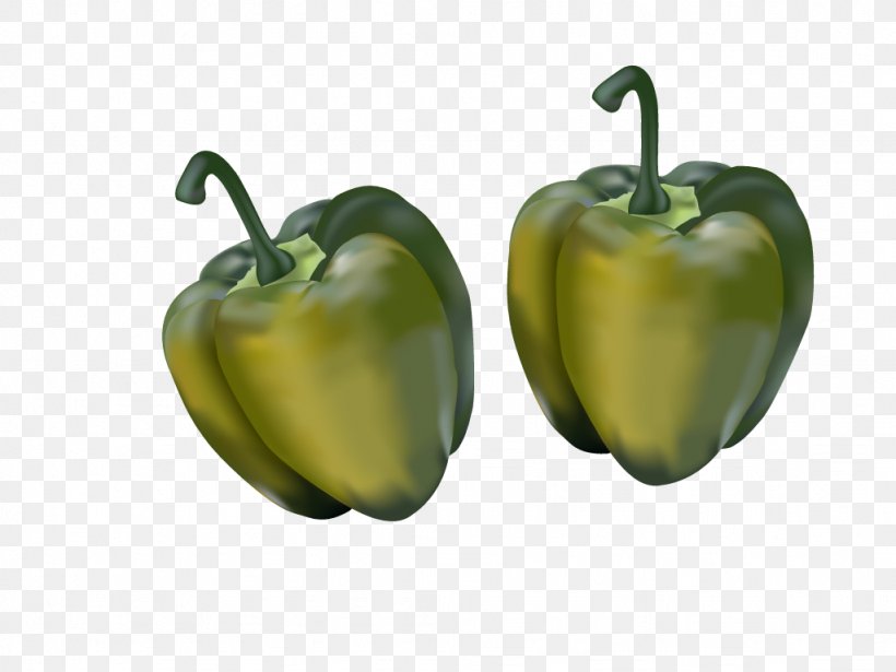 Bell Pepper Chili Pepper Paprika Peppers Adobe Illustrator, PNG, 1024x768px, Bell Pepper, Adobe Systems, Apple, Bell Peppers And Chili Peppers, Chili Pepper Download Free