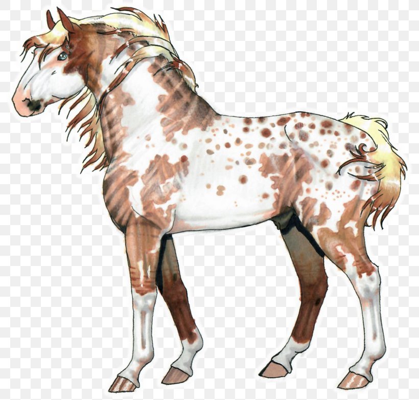 Mustang Stallion Foal Colt Mare, PNG, 800x782px, Mustang, Animal, Animal Figure, Colt, Foal Download Free