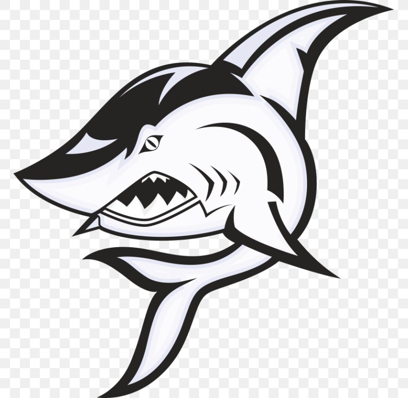 Shark Drawing Clip Art, PNG, 800x800px, Shark, Art, Artwork, Black, Black And White Download Free