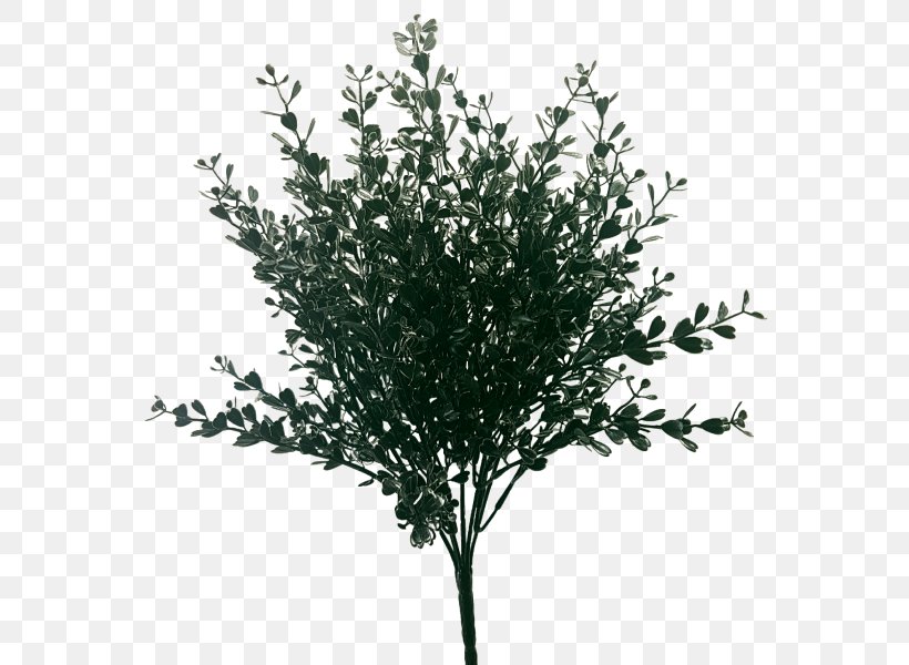 Shrub Artificial Flower Plant JMC Floral Flower Bouquet, PNG, 800x600px, Shrub, Artificial Flower, Australia, Black And White, Box Download Free