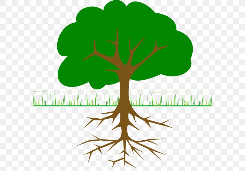 The Great Kapok Tree Clip Art, PNG, 600x575px, Tree, Branch, Christmas Tree, Family Tree, Flower Download Free