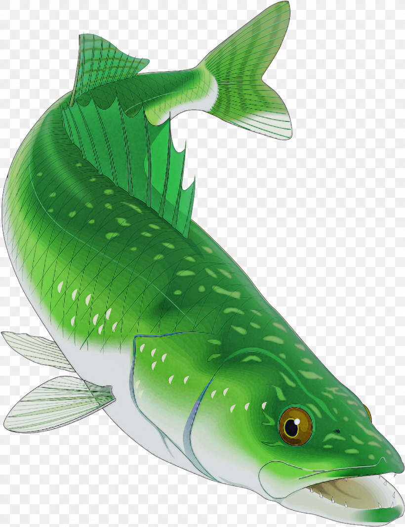 Fish Fish Green Fin Bass, PNG, 940x1222px, Fish, Bass, Bonyfish, Fin, Green Download Free