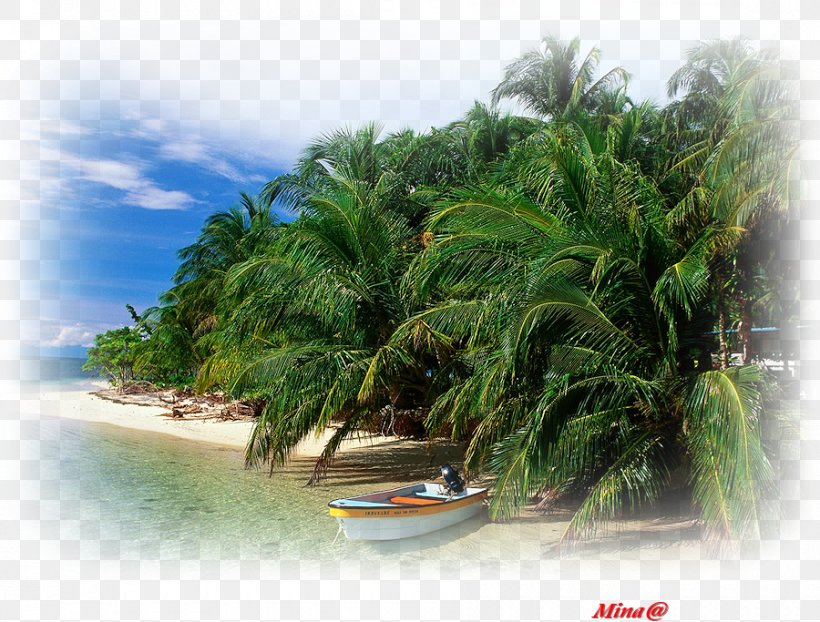 Bocas Town, Bocas Del Toro Solarte Island Cayos Zapatilla Panamá Province Caribbean, PNG, 900x683px, Caribbean, Arecales, Beach, Cay, Island Download Free