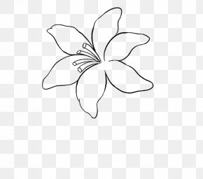 Line Art Flower Drawing, PNG, 807x1306px, Line Art, Black And White ...