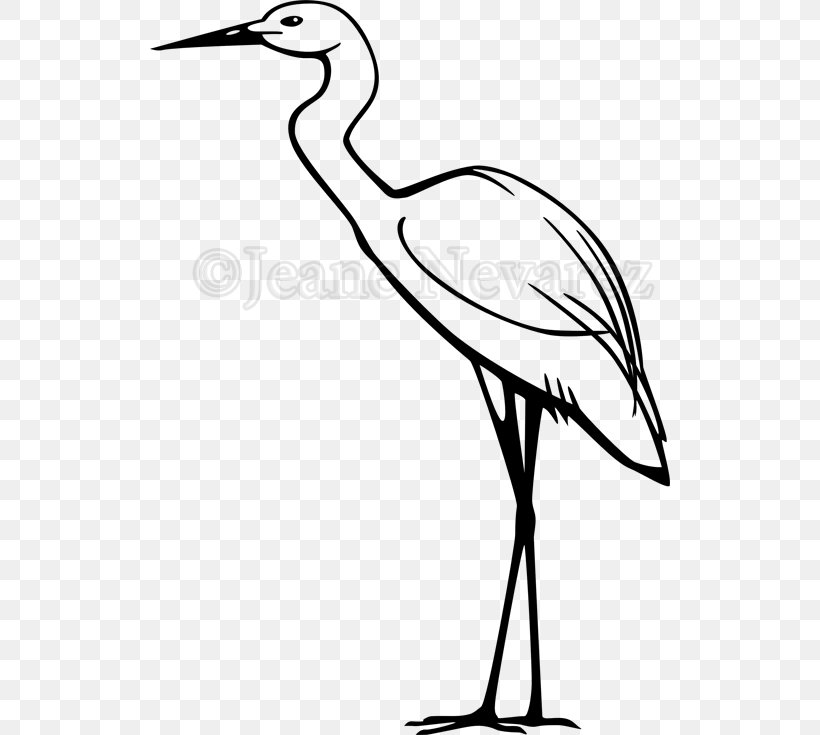 Heron Clip Art Great Egret Snowy Egret, PNG, 520x735px, Heron, Artwork, Beak, Bird, Black And White Download Free
