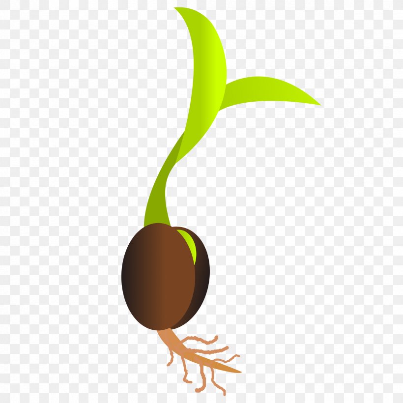 Seed Sprouting Germination Clip Art, PNG, 2400x2400px, Seed, Bud, Food, Fruit, Germination Download Free