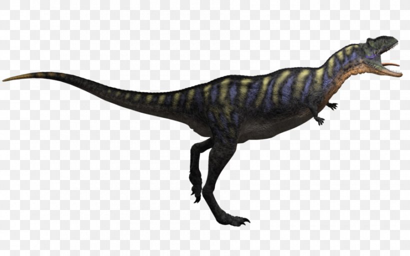 Tyrannosaurus Aucasaurus Velociraptor Ornitholestes Theropods, PNG, 900x562px, Tyrannosaurus, Animal Figure, Aucasaurus, Brachiosaurus, Carnivore Download Free