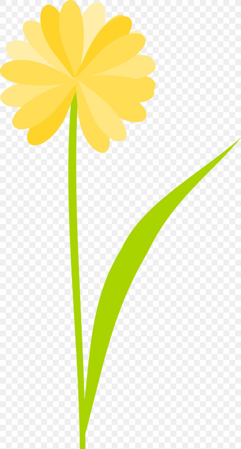 Dandelion Cut Flowers Leaf Plant Stem Clip Art, PNG, 862x1600px, Dandelion, Cut Flowers, Daisy, Daisy Family, Flora Download Free